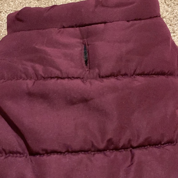 Doggy Puffer Jacket - Sz Large - Picture 4 of 6